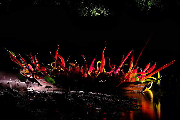 Dale Chihuly at the Biltmore Estate in the night, Asheville, NC