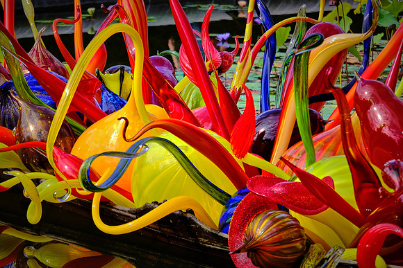 Dale Chihuly at the Biltmore Estate in the day, Asheville, NC
