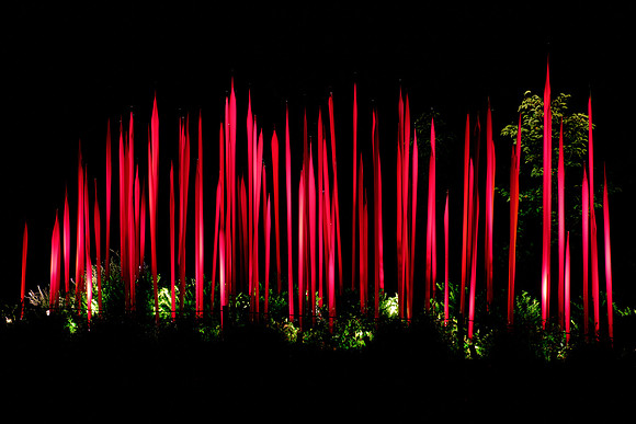 Dale Chihuly at the Biltmore Estate in the night, Asheville, NC
