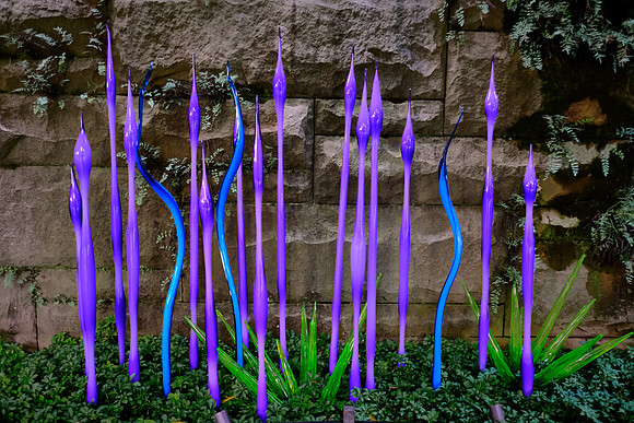 Dale Chihuly at the Biltmore Estate in the day, Asheville, NC