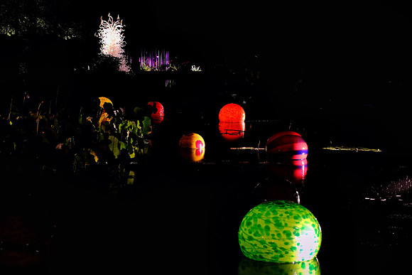 Dale Chihuly at the Biltmore Estate in the night, Asheville, NC