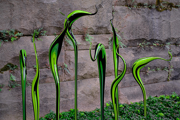 Dale Chihuly at the Biltmore Estate in the day, Asheville, NC