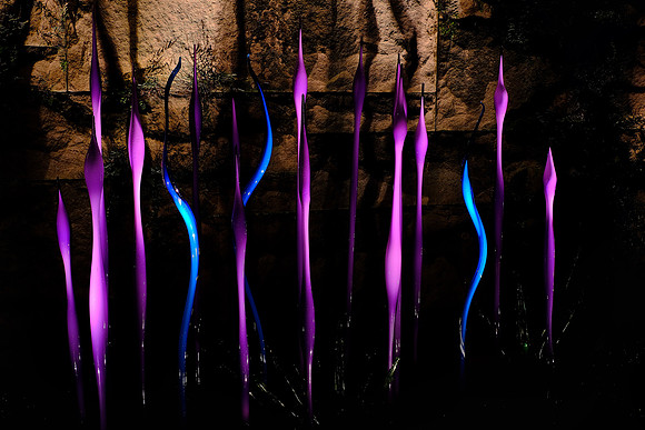 Dale Chihuly at the Biltmore Estate in the night, Asheville, NC