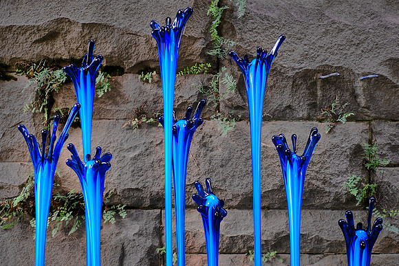 Dale Chihuly at the Biltmore Estate in the day, Asheville, NC