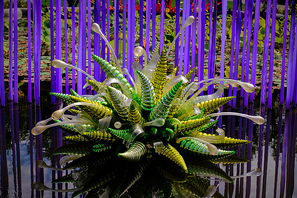 Dale Chihuly at the Biltmore Estate in the day, Asheville, NC