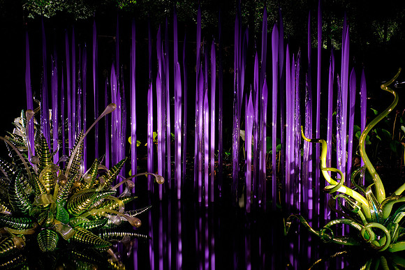 Dale Chihuly at the Biltmore Estate in the night, Asheville, NC
