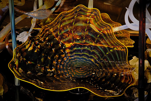 Dale Chihuly at the Biltmore Estate in the night, Asheville, NC
