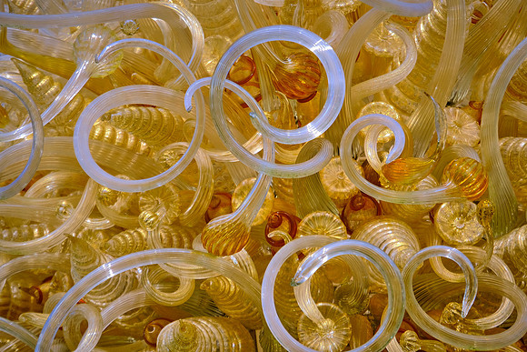 Dale Chihuly at the Biltmore Estate in the day, Asheville, NC