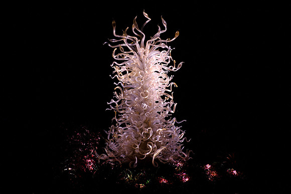 Dale Chihuly at the Biltmore Estate in the night, Asheville, NC