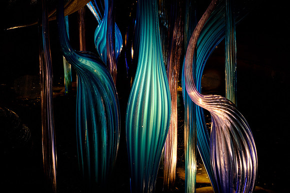 Dale Chihuly at the Biltmore Estate in the night, Asheville, NC