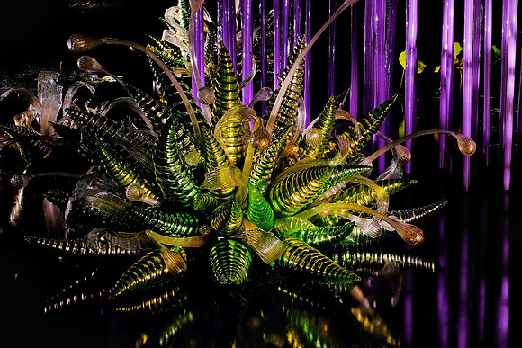 Dale Chihuly at the Biltmore Estate in the night, Asheville, NC