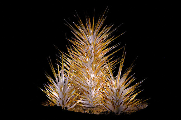Dale Chihuly at the Biltmore Estate in the night, Asheville, NC