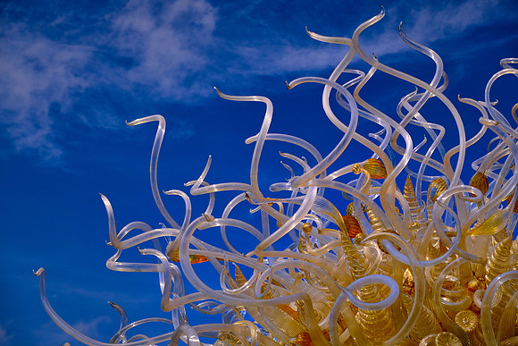 Dale Chihuly at the Biltmore Estate in the day, Asheville, NC