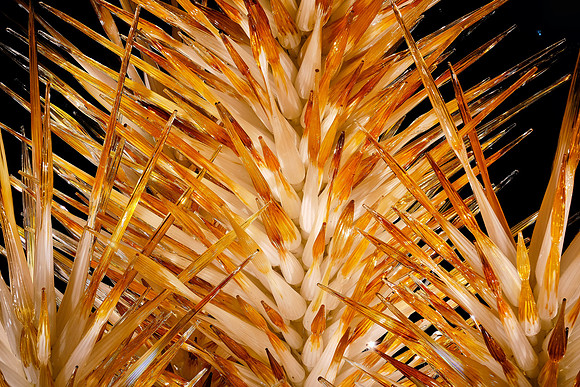 Dale Chihuly at the Biltmore Estate in the night, Asheville, NC