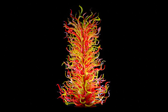 Dale Chihuly at the Biltmore Estate in the night, Asheville, NC