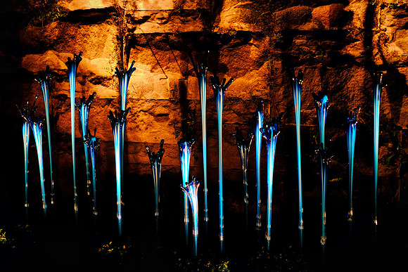 Dale Chihuly at the Biltmore Estate in the night, Asheville, NC