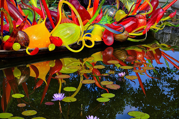 Dale Chihuly at the Biltmore Estate in the day, Asheville, NC