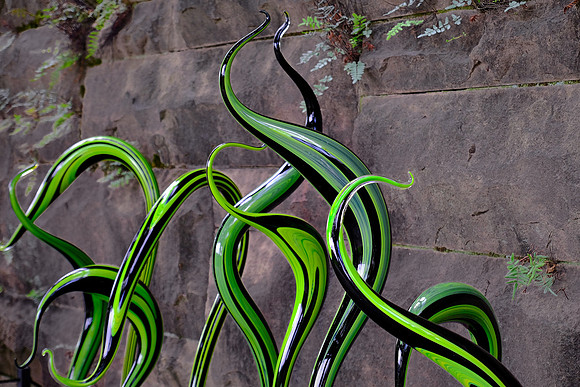 Dale Chihuly at the Biltmore Estate in the day, Asheville, NC