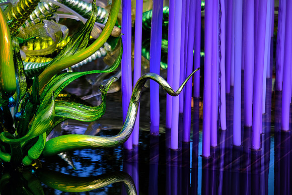 Dale Chihuly at the Biltmore Estate in the day, Asheville, NC