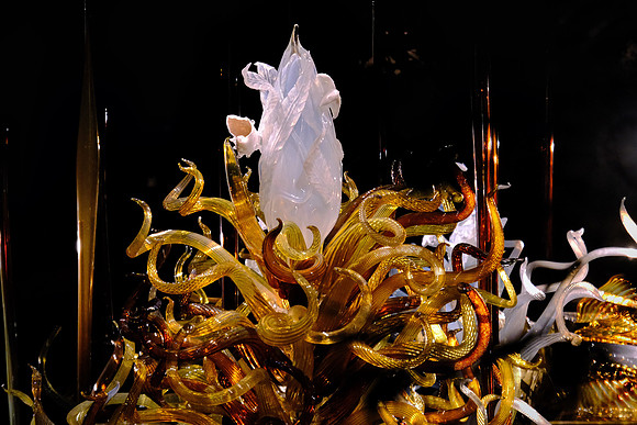 Dale Chihuly at the Biltmore Estate in the night, Asheville, NC