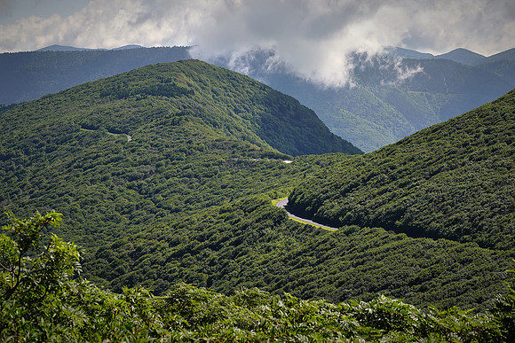 Craggy Pinnacle Overlook,  Blue Ridge Parkway, North Carolina.