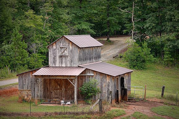 On the backroads near Rocky Bottom, South Carolina.