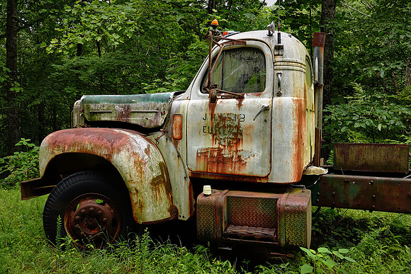 On the backroads near Rocky Bottom, South Carolina.