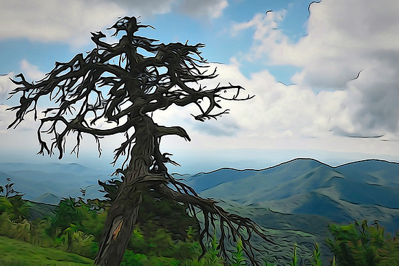 Blue Ridge Parkway, North Carolina.