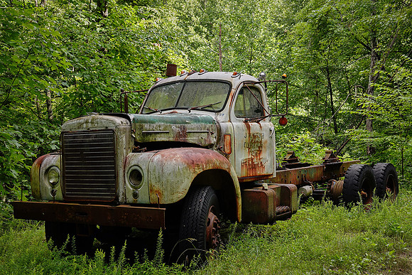 On the backroads near Rocky Bottom, South Carolina.