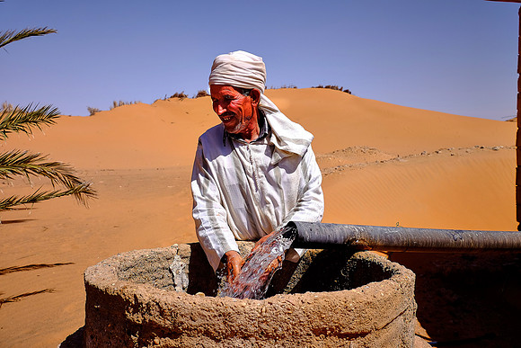 Date palm farmer, Sahara Desert, High Atlas Mountains, Morocco