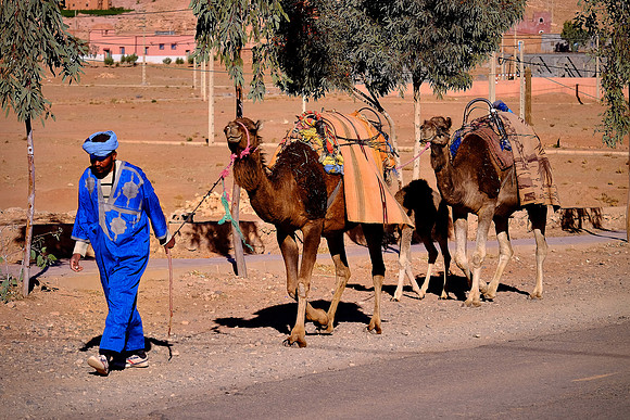 On the road to Kasr of Aït Benhaddou, Morocco
