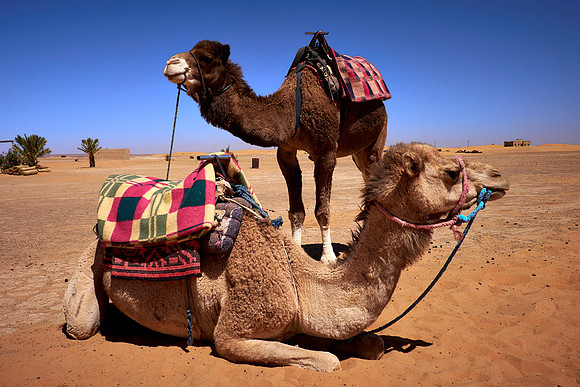 Sahara Desert, High Atlas Mountains, Morocco