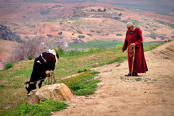 On the road to Volubilis, Morocco