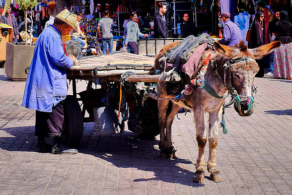 Medina, Marrakesh, Morocco