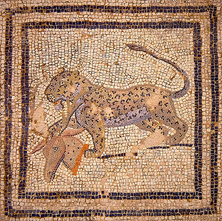 Volubilis, Morocco