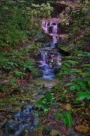 Pearsons Falls near Saluda, North Carolina