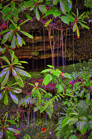 Pearsons Falls near Saluda, North Carolina