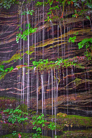 Pearsons Falls near Saluda, North Carolina