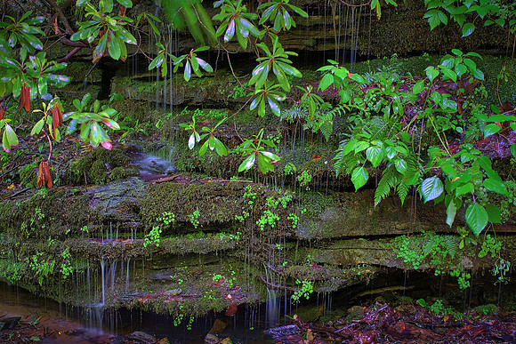 Pearsons Falls near Saluda, North Carolina