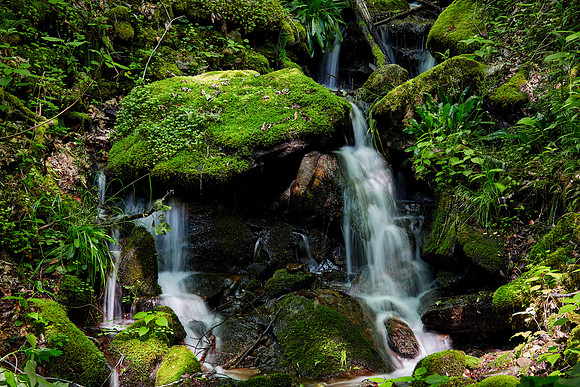 Raven Fork, Great Smoky Mt. National Park, NC