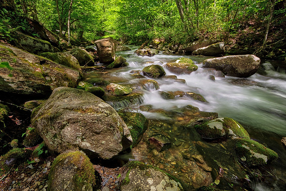 Great Smoky Mt. National Park, NC