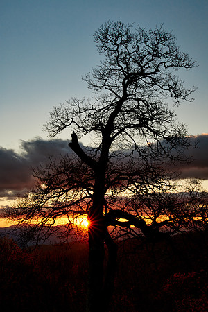 Sunset, Great Smoky Mt. National Park, NC