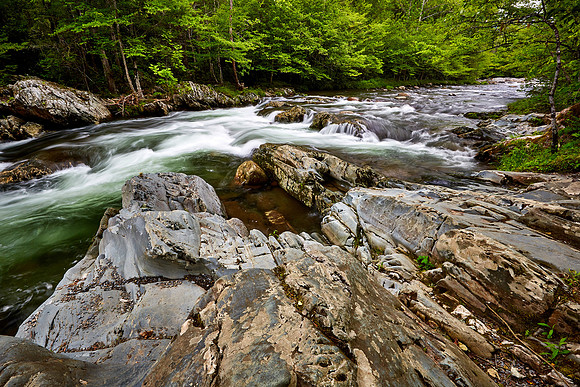Little Pigeon River, Great Smoky Mt. National Park, TN