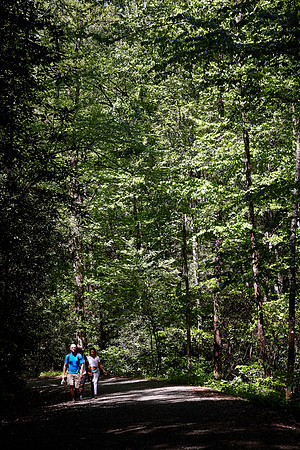 Great Smoky Mt. National Park, NC