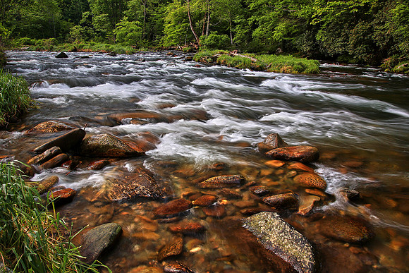 Raven Fork, Great Smoky Mt. National Park, NC