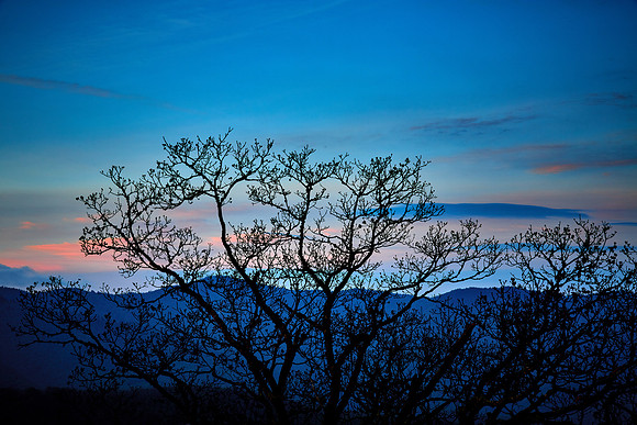 Sunrise, Great Smoky Mt. Natioanl Park, NC