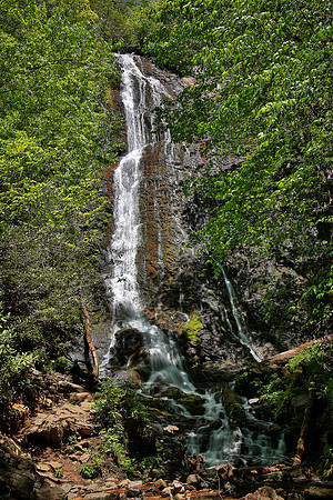 Mingo Falls, Great Smoky Mt. National Park, NC