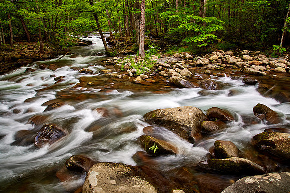 Little Pigeon River, Great Smoky Mt. National Park, TN