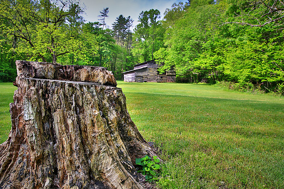 George Palmer homestead, Cataloochee, Great Smoky Mt. National Park, NC