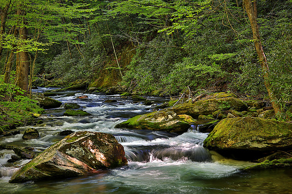 Raven Fork, Great Smoky Mt. National Park, NC